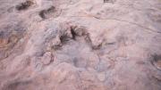 Hallan una “guardería de dinosaurios” en Tarija, posiblemente el registro jurásico más antiguo de Sudamérica