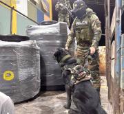 Can “Vitto” detecta marihuana oculta en tanques de plástico durante operativo antinarcóticos