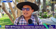 Granizada destruye el 95% de los cultivos en comunidades rurales de Tarija