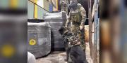 Can “Vitto” detecta marihuana oculta en tanques de plástico durante operativo antinarcóticos