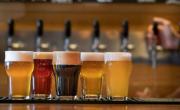 Alegría cervecera por el descubrimiento del CONICET que busca potenciar la economía