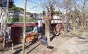 Entraron a los tiros en una carnicería de Olmos