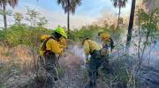 Incendio en frontera entre Paraguay y Bolivia arrasa con 16.000 hectáreas de vegetación