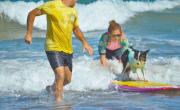 Está a 400 km y es pet friendly: la playa más linda para ir con perros en verano