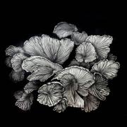 Muestra en el Centro Rougés: un homenaje a la riqueza de la tierra, llamando a defenderla