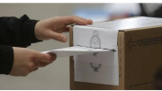 Multa por no votar en las elecciones 2025: de cuánto es, dónde pagarla y cómo justificar la ausencia