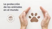 La protección de los animales