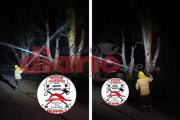 Bomberos de Quimilí trabajaron tras la caída de un rayo en un eucalipto