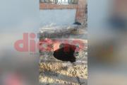 Dramático: rescatan a un canillita bandeño que cayó a un pozo ciego