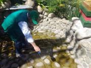 Seis distritos de la capital cruceña están en emergencia debido a cridaderos de mosquitos
