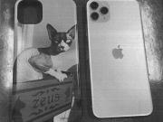 Yategate: la Justicia no pudo abrir el celular de Sofía Clerici, pero avanza el peritaje sobre los bienes de Martín Insaurralde