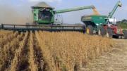 Productores alertan escasez de alimentos en 2026 por falta de combustible