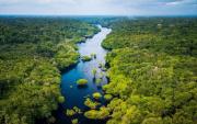 ONG exige suspender a Venezuela de tratado amazónico por daño ambiental
