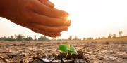 Banco de Desarrollo ofrece servicios financieros que alientan la lucha contra el cambio climático