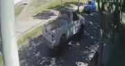 Video impactante: así atropellaron a una perrita de manera brutal en Capital