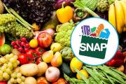 ¡Crisis alimentaria! Conoce qué estados no entregarán pagos SNAP en noviembre