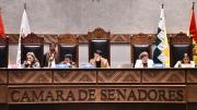 Senado aprueba proyecto de ley de uso de Inteligencia Artificial que da prerrogativas a Agetic