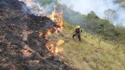 Potosí: Incendios forestales arrasaron con más de 15 mil hectáreas de pastizales y dejaron ganado muerto