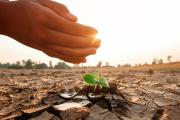 BDP-SAM consolida liderazgo en finanzas sostenibles y moviliza recursos para proyectos climáticos en Bolivia