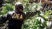 Oposición celebra retorno de la DEA a Bolivia; el evismo lo califica de injerencia