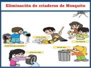 Eliminemos los criaderos