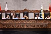 Senadora señala que algunos legisladores ya “se quieren ir” y quedaría sin modificar la Ley de Diferimiento de créditos