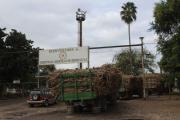 Agroindustria azucarera de Bermejo en riesgo de caer por problemas en IABSA