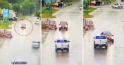 Video: un adolescente de La Plata robó un auto y terminó chocando contra un patrullero en Ensenada