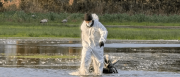 Grave brote de gripe aviar obliga a Alemania a sacrificar miles de aves