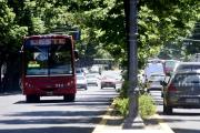 Transporte gratuito y calles limpias: cómo se prepara La Plata para las elecciones del domingo