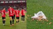 Bronca: hinchas de Independiente lanzaron comida para perros a los jugadores tras el 1-0 ante Platense