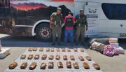 Marihuana camuflada entre frazadas: Gendarmería descubrió más de 31 kilos en un colectivo que iba de Salta a Mendoza