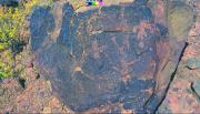 Descubren un nuevo campo de petroglifos en la localidad catamarqueña de Tinogasta