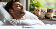 Qué significa soñar con gatos: señales ocultas del inconsciente según la IA