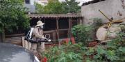 Salud mantiene vigilancia activa y refuerza el control del mosquito transmisor del dengue ante la época de lluvias