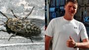 Hombre ignoró la picadura de una mosca mientras trabajaba en el campo y el desenlace fue fatal