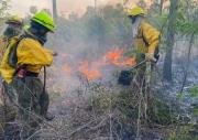 Sofocan incendio en zona de frontera de Paraguay y Bolivia que arrasó 24.700 hectáreas