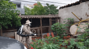 Salud mantiene vigilancia y refuerza control parta evitar propagación de dengue