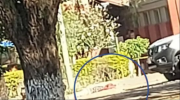 Cochabamba: un universitario muerto en pelea dentro del campus universitario