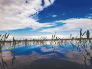 Alto Paraguá apuesta por la conservación y el turismo comunitario