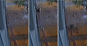 Video: se cayó parte de la mampostería en una casa en La Plata y una persona se salvó de milagro