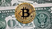 Dólar cripto hoy, en vivo: a cuánto cotiza en estas elecciones y qué pasa con el dólar blue