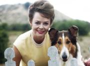Murió a los 100 años de edad la actriz June Lockhart, estrella de Lassie y Perdidos en el espacio