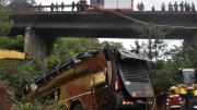 Tragedia en Misiones: el conducto del auto que chocó con el micro estaba alcoholizado