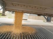 Se disparó el precio de la soja en el mercado internacional: alcanzó el valor más alto en un año