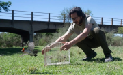 26 aves fueron liberadas tras sufrir maltrato por el tráfico ilegal: ya van 124 rescatadas en lo que va del año en Córdoba