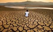 Denuncian recortes del 83% en áreas ambientales durante el gobierno de Milei