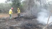 Reportan lluvia significativa en las zonas de incendios forestales
