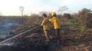 Rescatan y liberan a un zorrito afectado por los incendios en San Ignacio de Velasco