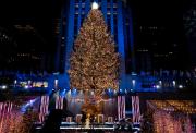 EN FOTOS: Todos los detalles del icónico árbol de Navidad del Rockefeller Center
